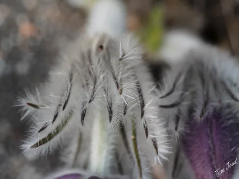 DC-G9M2 · 60mm · f/5.6 · 1/125s · ISO 250