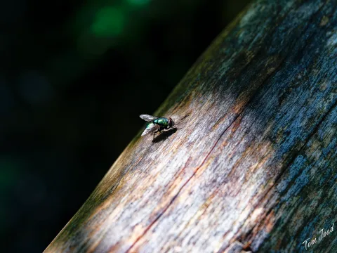 DC-G9M2 · 60mm · f/5 · 1/125s · ISO 640