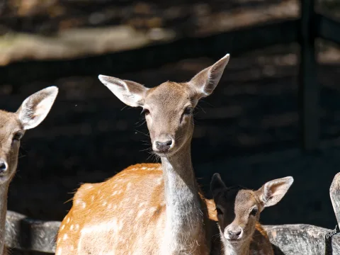 DC-G9M2 · 400mm · f/6.3 · 1/1000s · ISO 640
