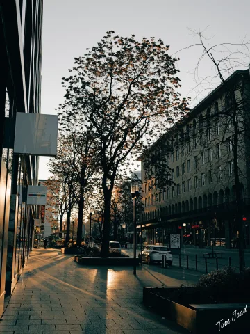 DC-G9M2 · 21mm · f/2.8 · 1/1600s · ISO 100