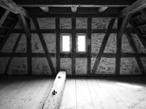 DC-G9M2 · 12mm · f/3.5 · 1/60s · ISO 3200
