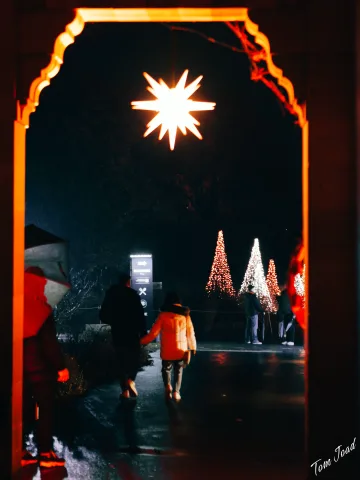 DC-G9M2 · 45mm · f/1.8 · 1/50s · ISO 3200