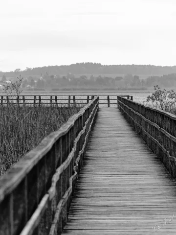 DC-G9M2 · 113mm · f/4.2 · 1/250s · ISO 160