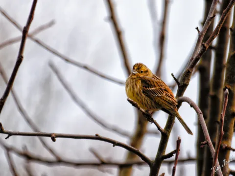 DC-G9M2 · 400mm · f/6.3 · 1/640s · ISO 500