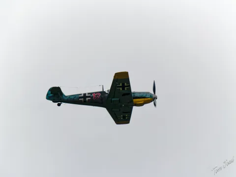 DC-G9M2 · 400mm · f/6.3 · 1/1000s · ISO 100