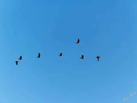 DC-G9M2 · 110mm · f/4.2 · 1/1000s · ISO 160
