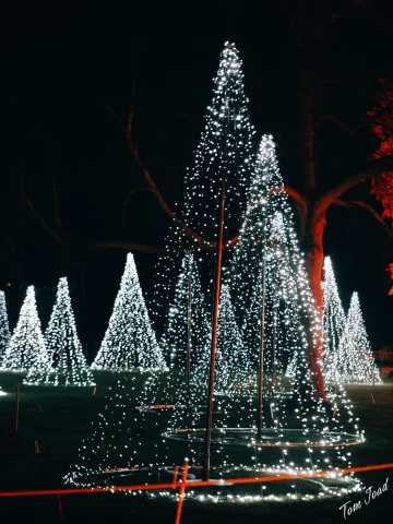 DC-G9M2 · 45mm · f/1.8 · 1/100s · ISO 3200