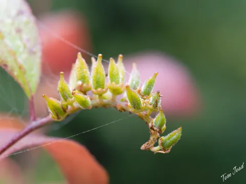 DC-G9M2 · 60mm · f/5.6 · 1/125s · ISO 3200