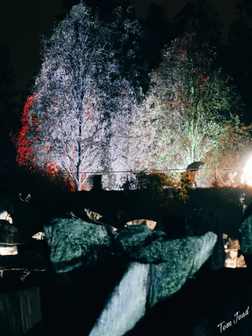 DC-G9M2 · 45mm · f/1.8 · 1/20s · ISO 3200