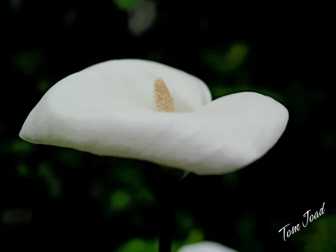 DC-G9M2 · 25mm · f/2.8 · 1/250s · ISO 100