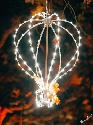DC-G9M2 · 45mm · f/1.8 · 1/100s · ISO 400