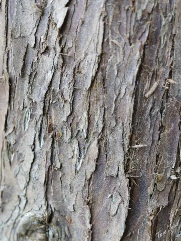 DC-G9M2 · 40mm · f/2.8 · 1/100s · ISO 640