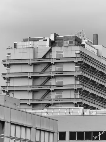 DC-G9M2 · 100mm · f/2.8 · 1/1000s · ISO 100