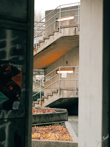 DC-G9M2 · 45mm · f/2 · 1/100s · ISO 125