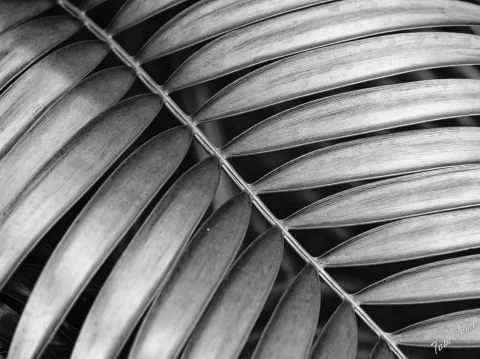 DC-G9M2 · 100mm · f/4 · 1/250s · ISO 640